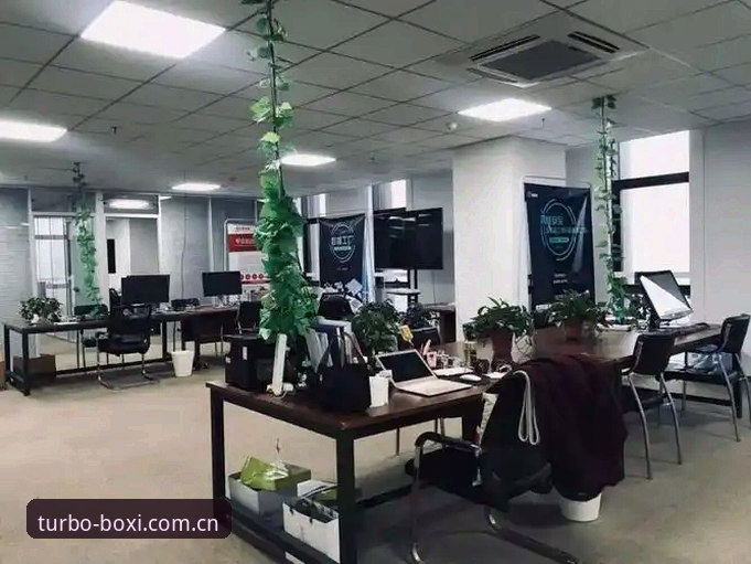 博喜体育平台稳定入口使用心得，带你绕开卡顿的实用指南